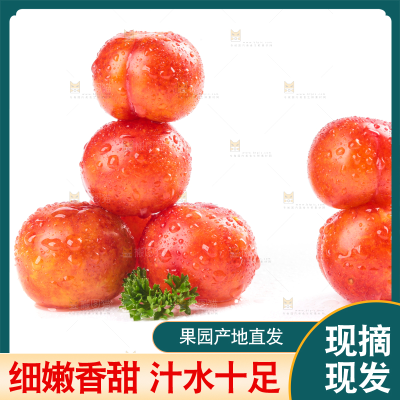 白底上的三月李