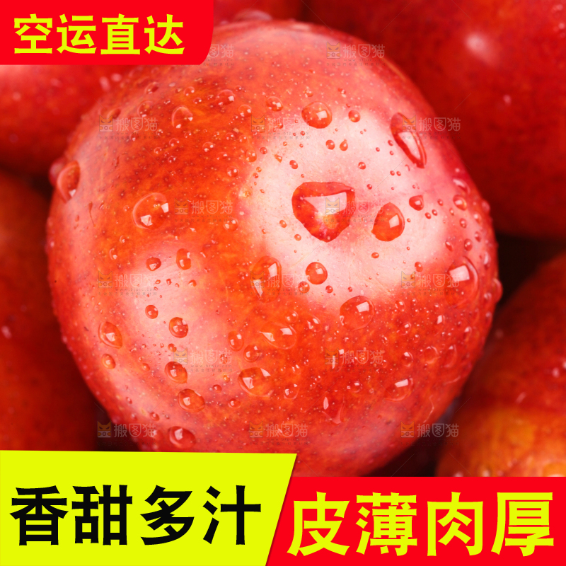白底上的三月李