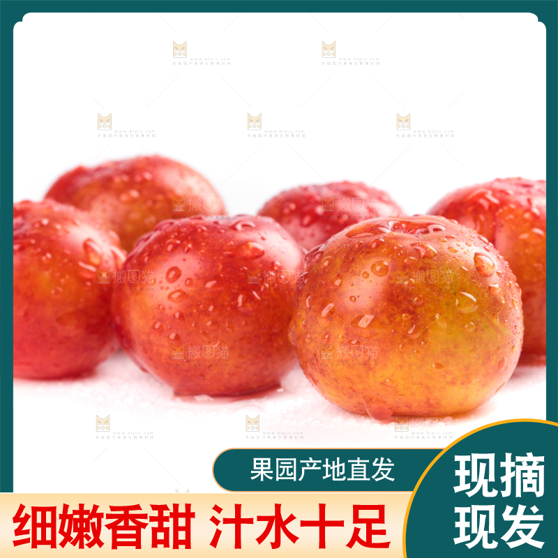 白底上的三月李