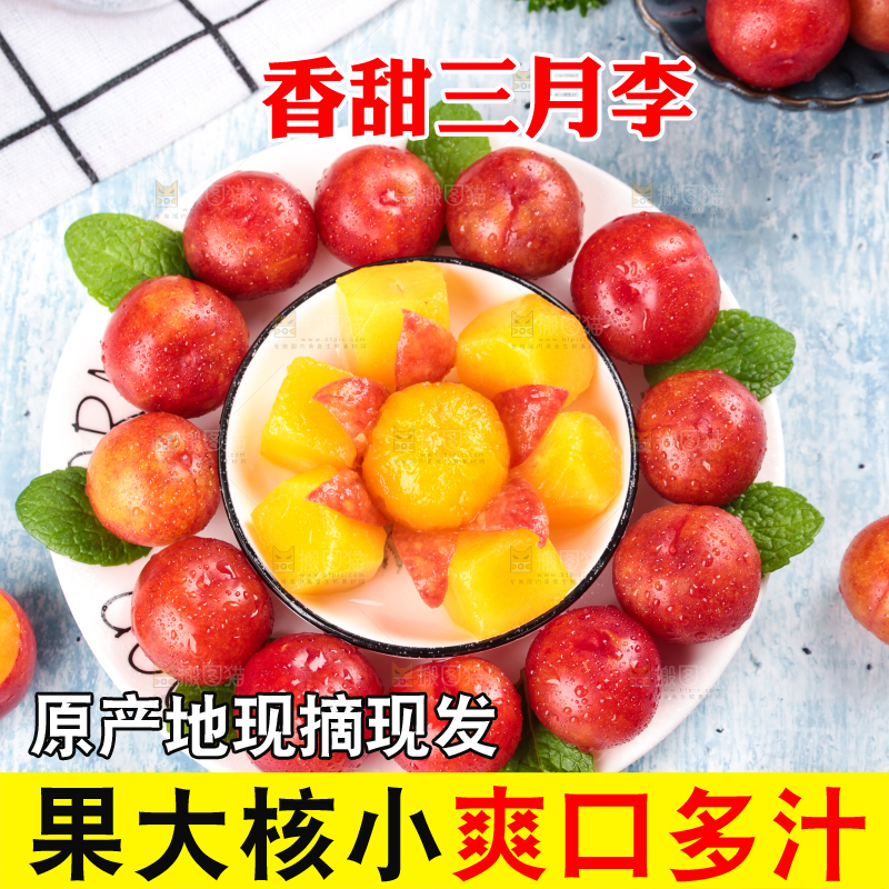 浅底上的三月李