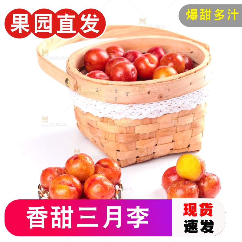 白底上的三月李