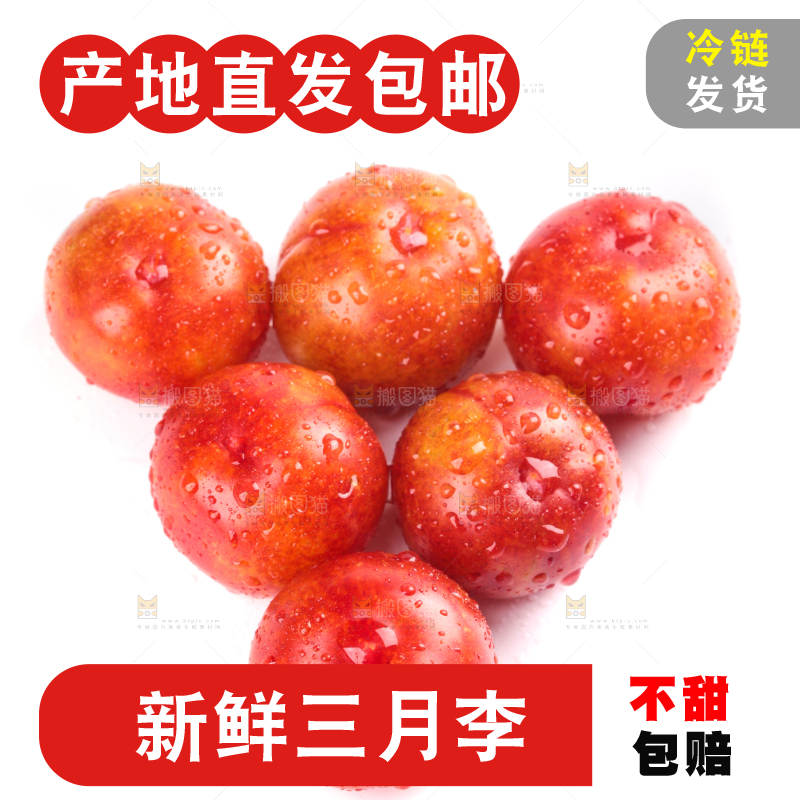白底上的三月李