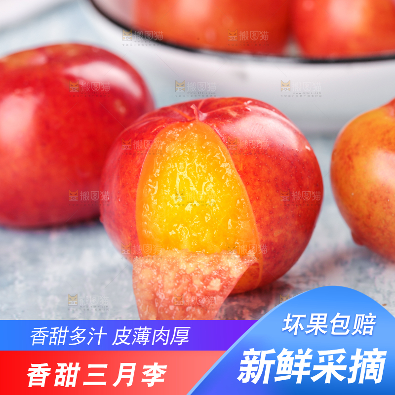 浅底上的三月李