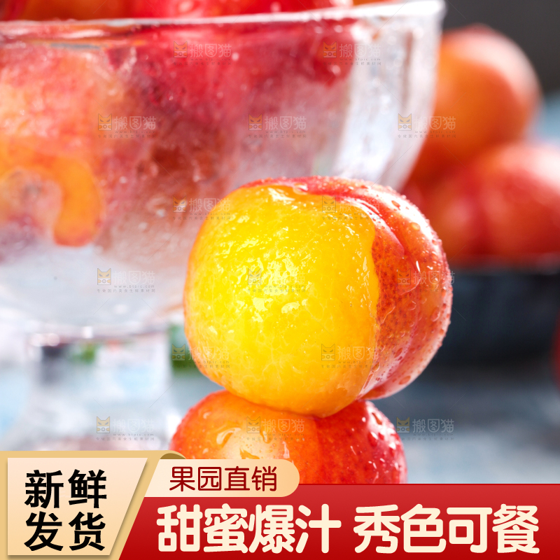 浅底上的三月李