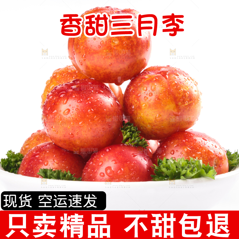白底上的三月李