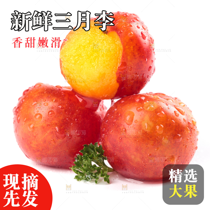 白底上的三月李