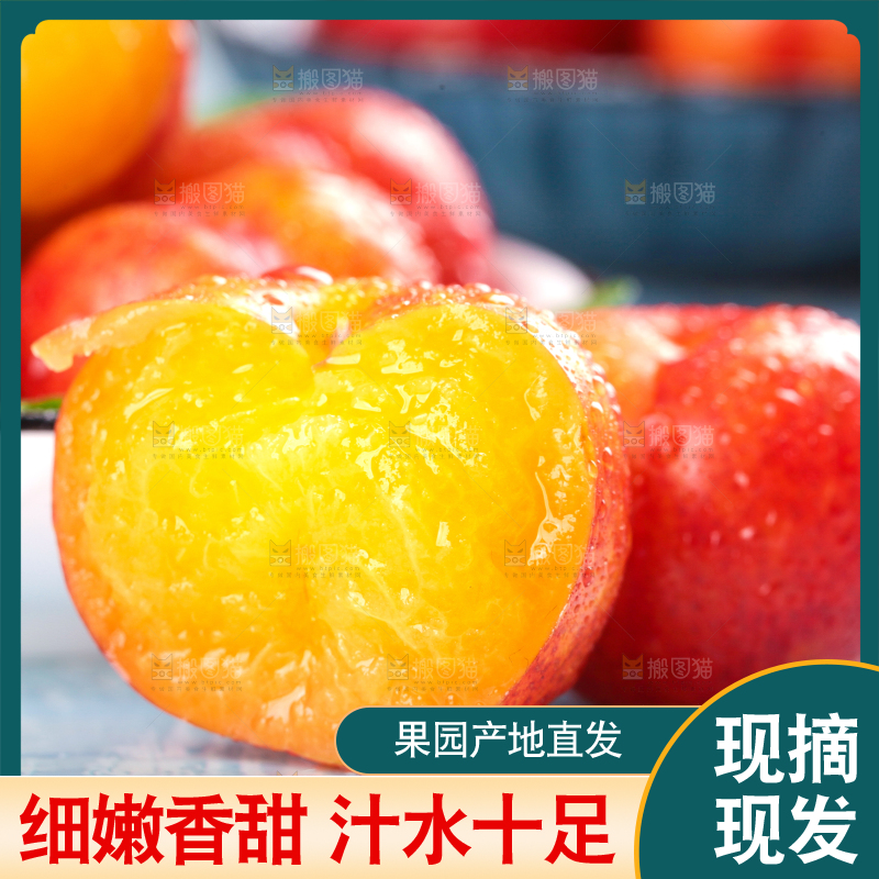 浅底上的三月李