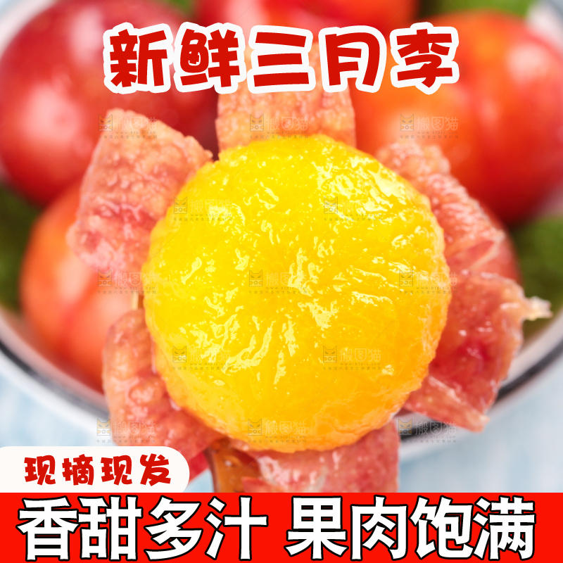 浅底上的三月李