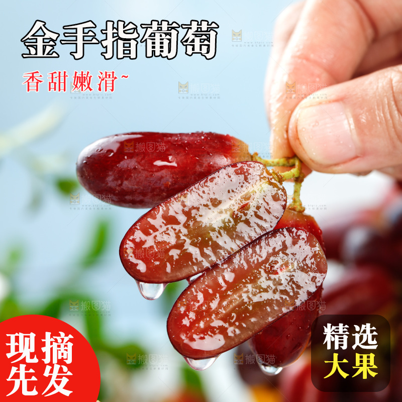浅底上的金手指葡萄