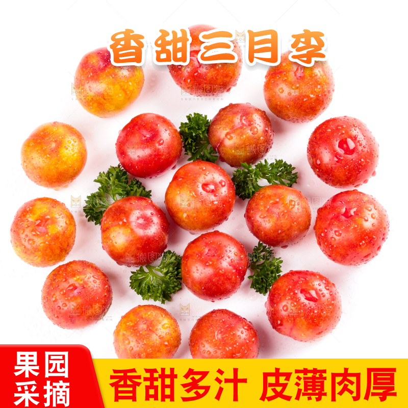 白底上的三月李