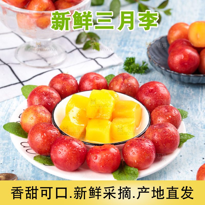 浅底上的三月李
