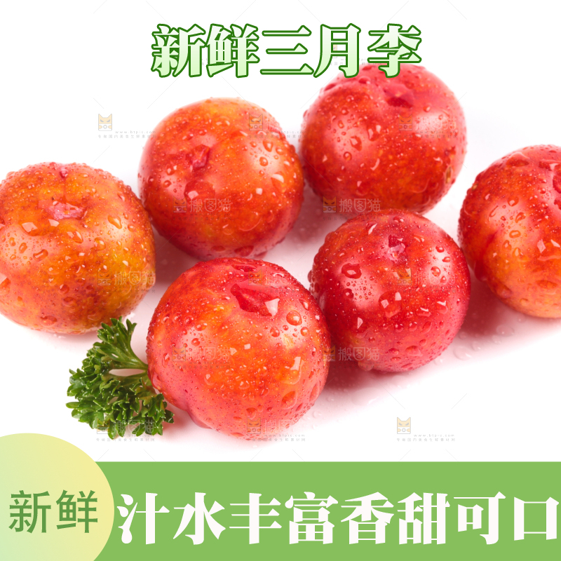 白底上的三月李
