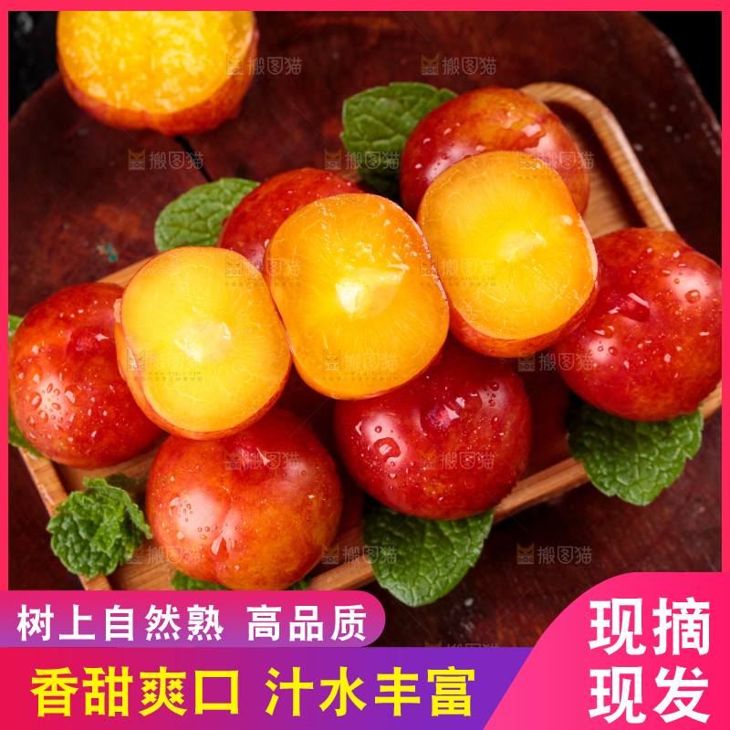深底上的三月李