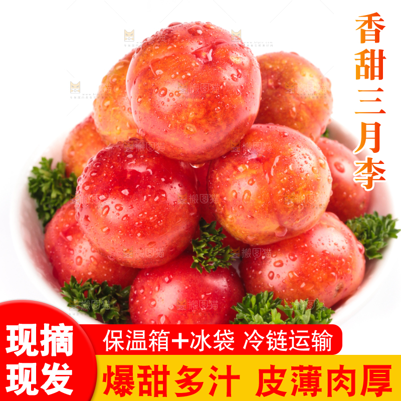 白底上的三月李