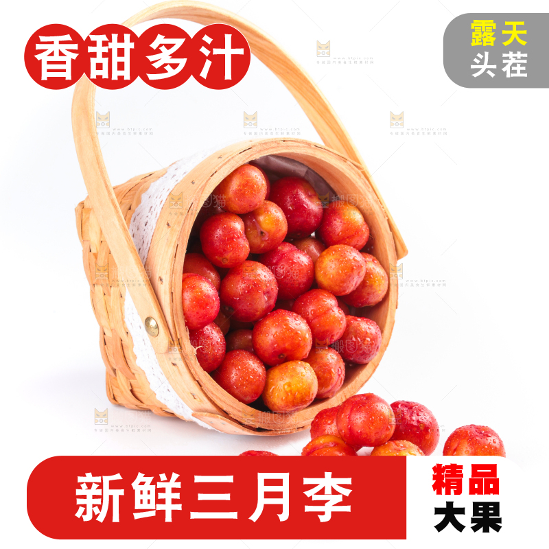白底上的三月李