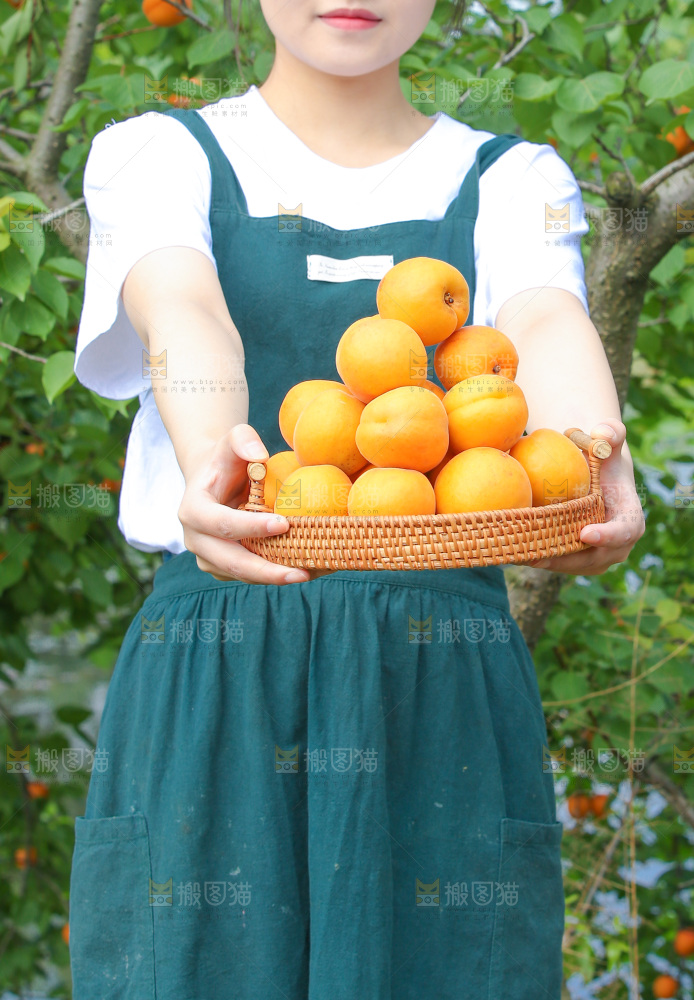 大黄杏