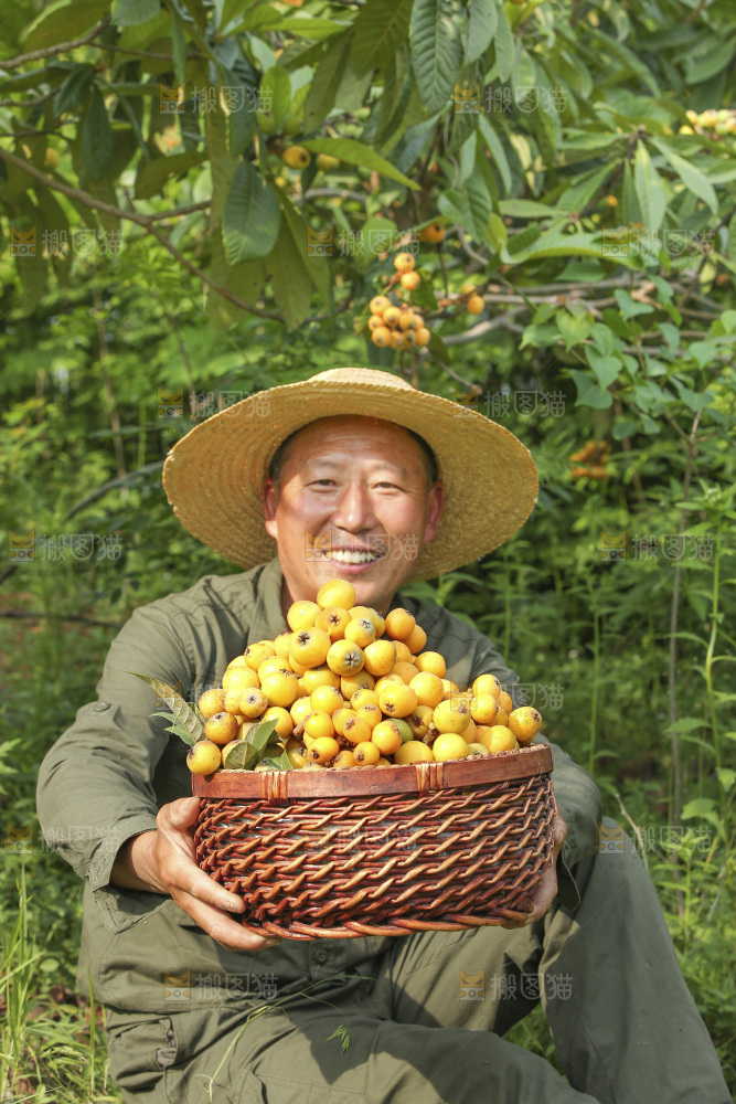 手里拿着现摘枇杷
