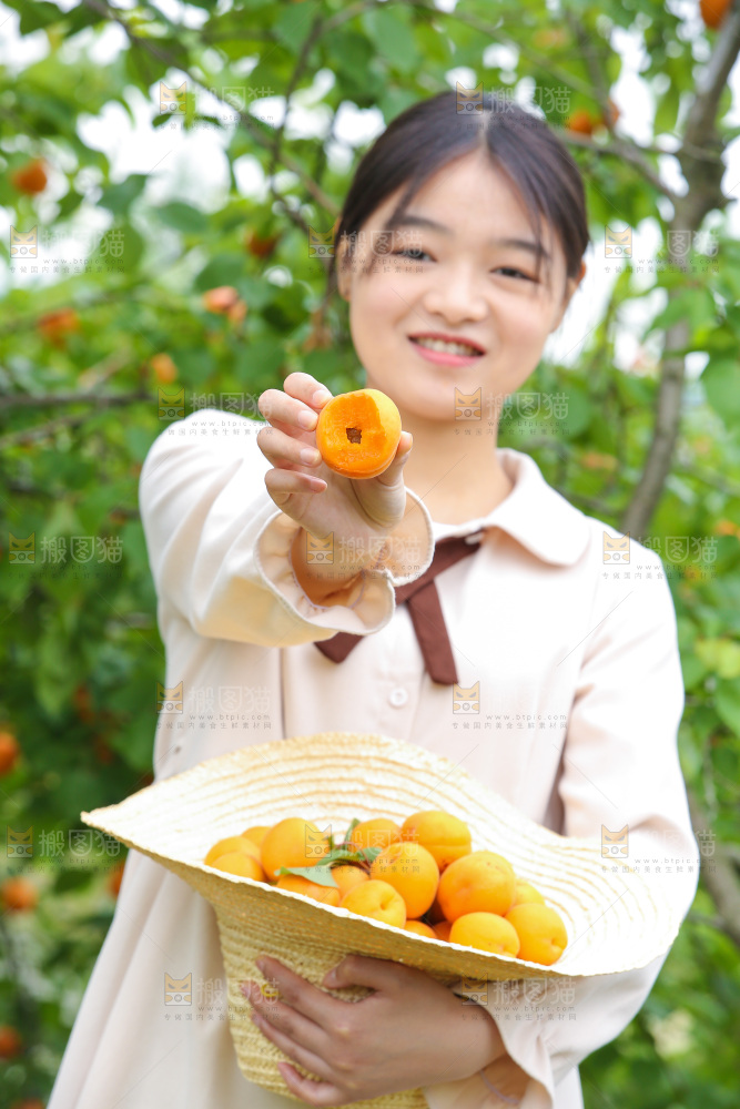 手里拿着新鲜大黄杏