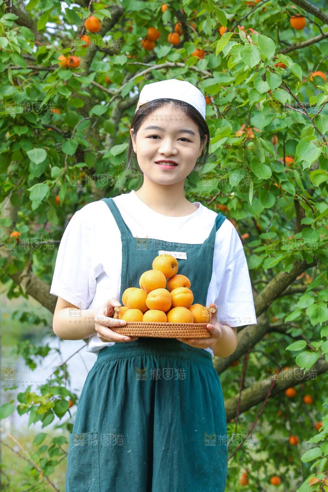 手里拿着新鲜大黄杏