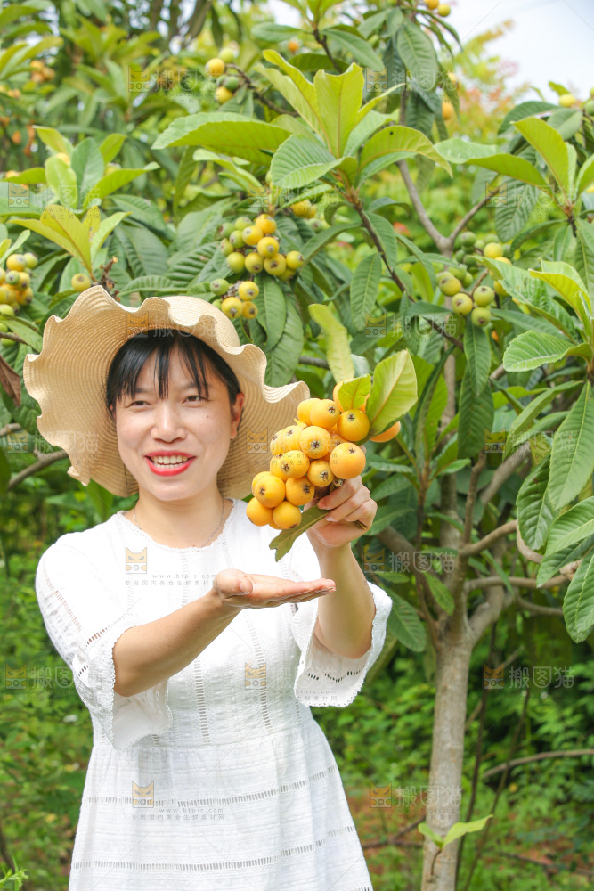 手里拿着现摘枇杷