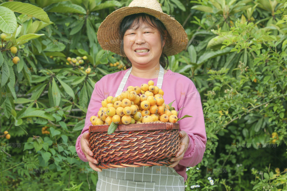 手里拿着现摘枇杷