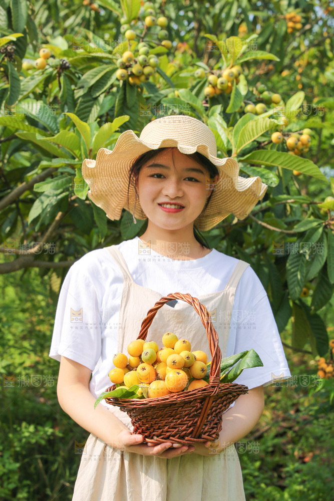 手里拿着现摘枇杷