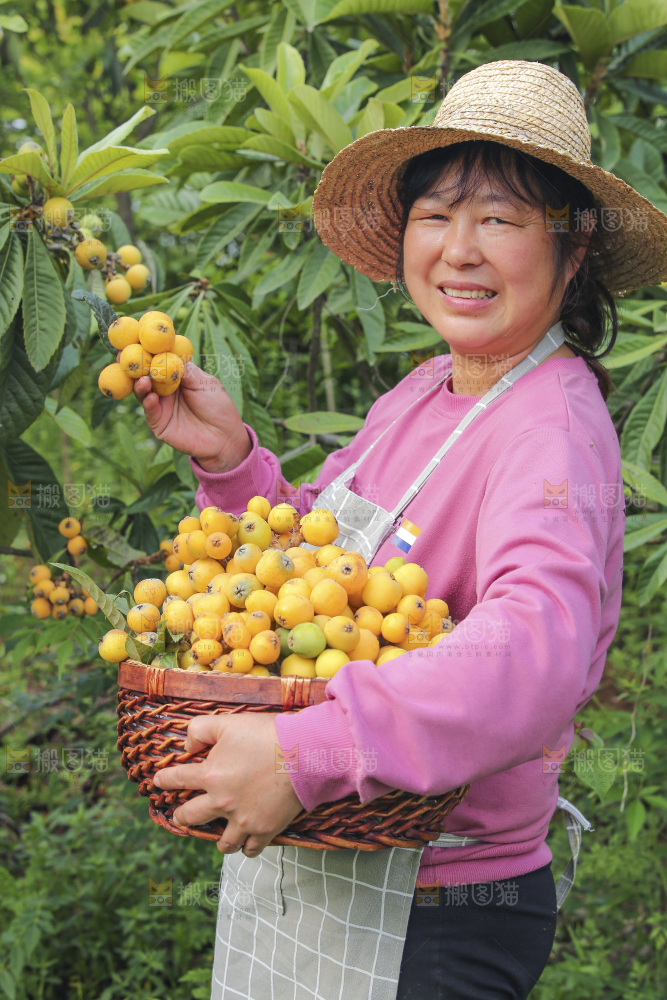 手里拿着现摘枇杷