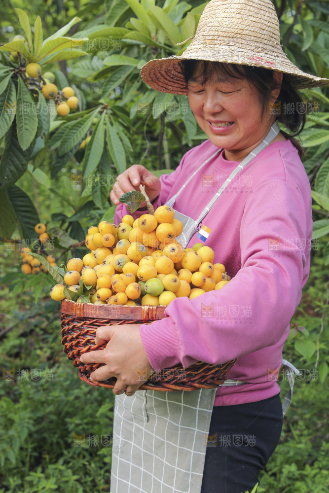 手里拿着现摘枇杷