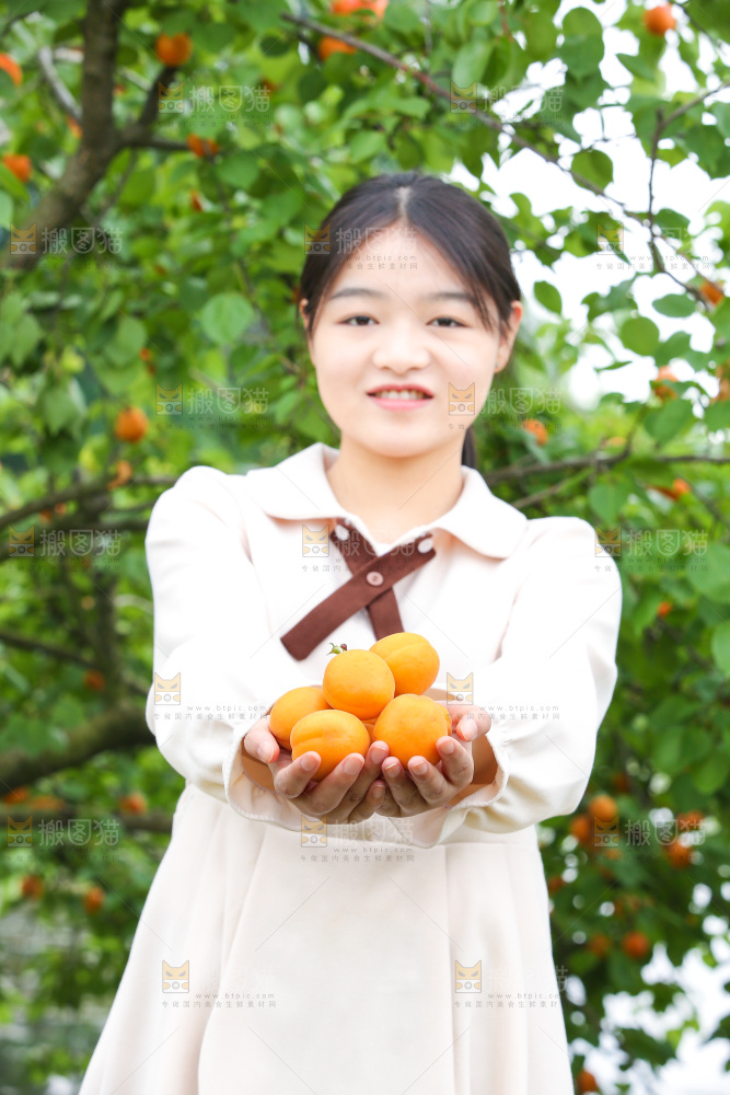手里拿着新鲜大黄杏