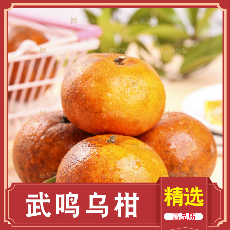 浅底上的乌柑