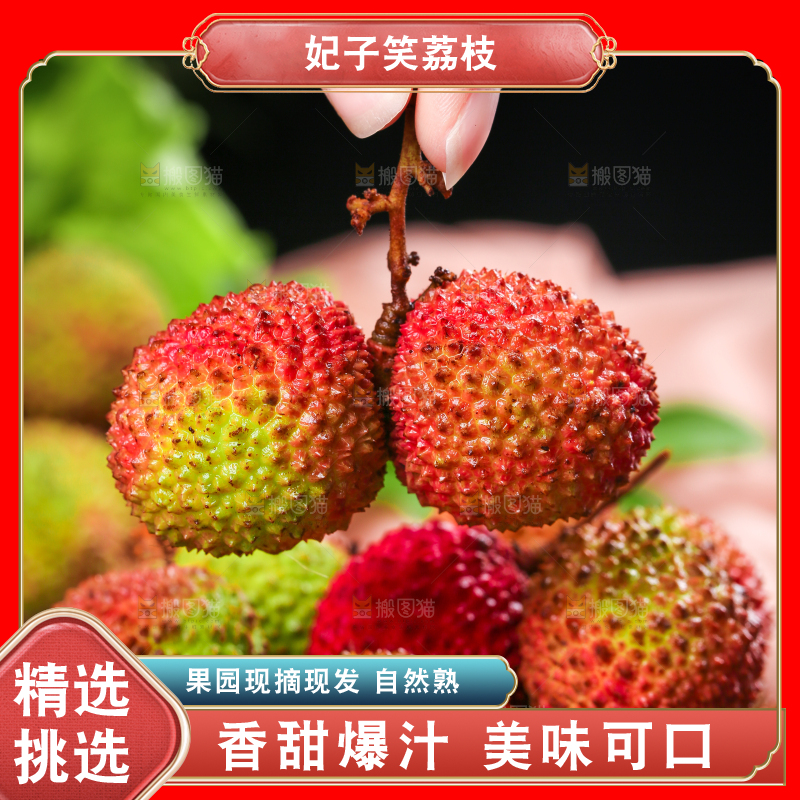深底上的妃子笑