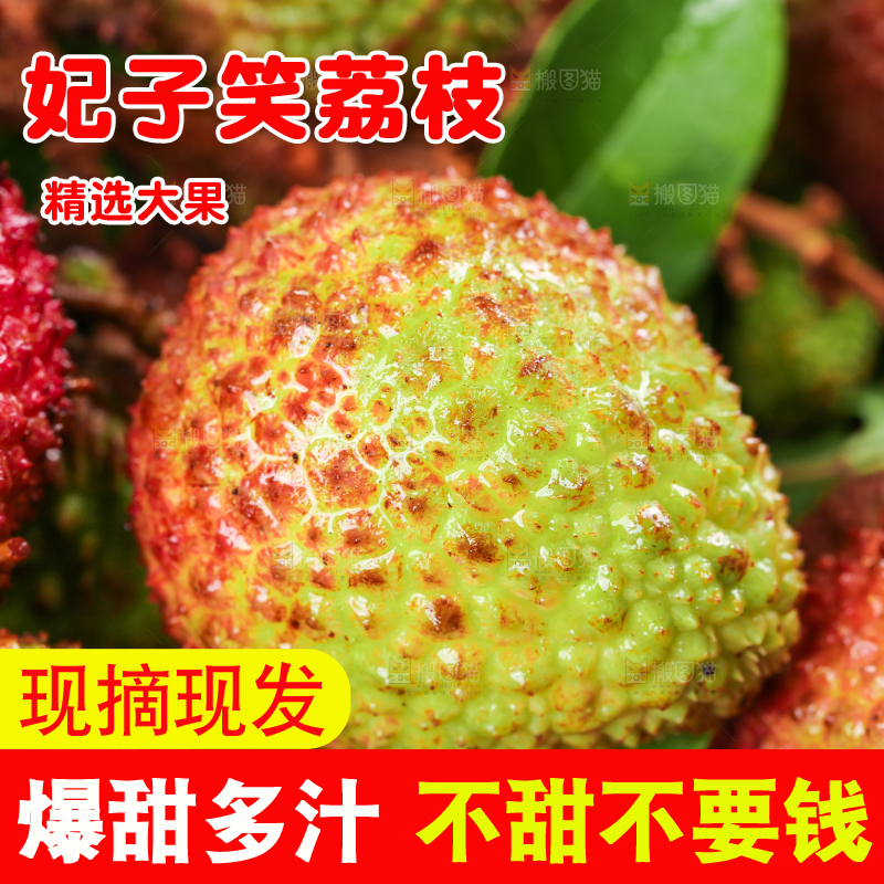 深底上的妃子笑