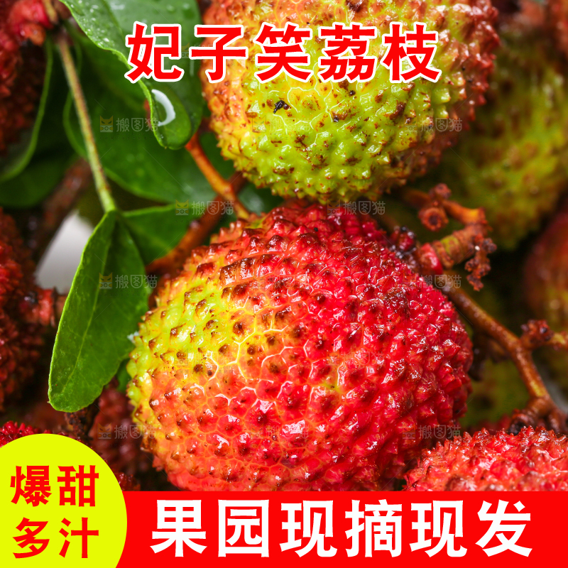 深底上的妃子笑