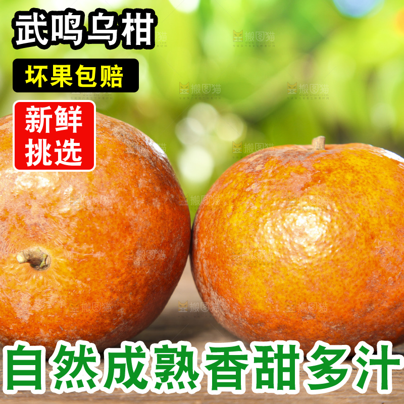 深底上的乌柑