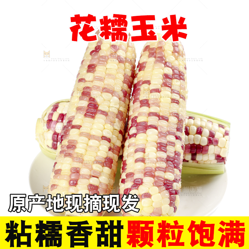 白底上的花糯玉米