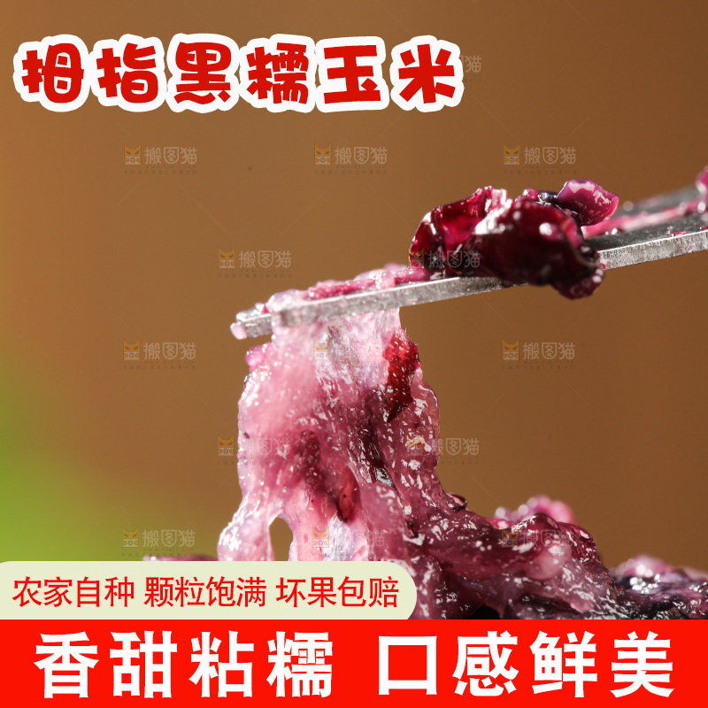 木底上的黑糯拇指玉米