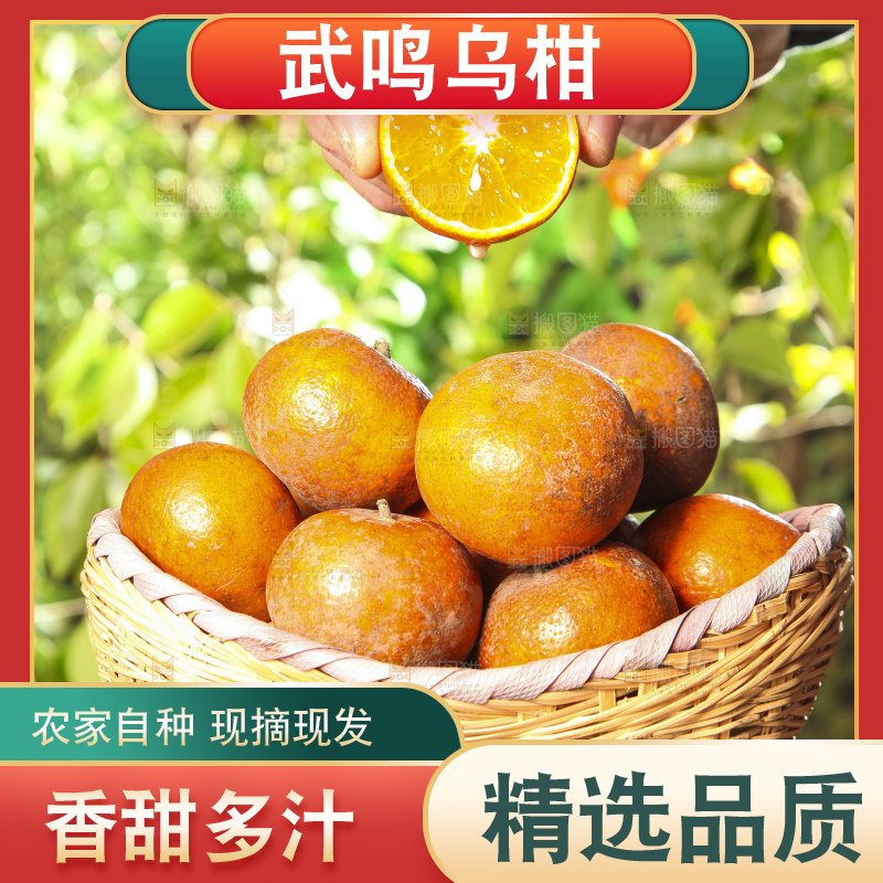 深底上的乌柑