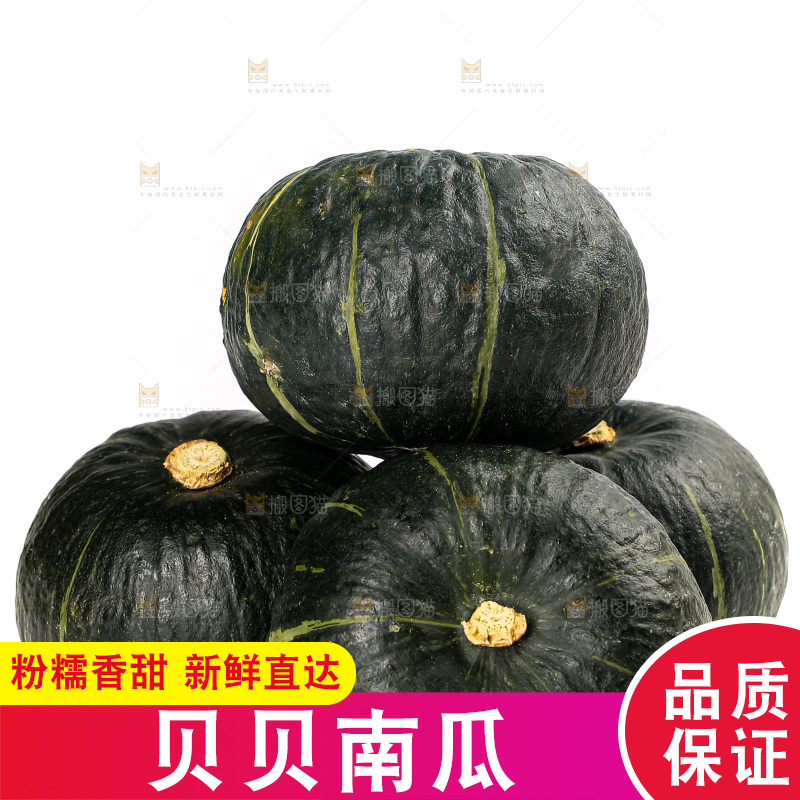 白底上放着的贝贝南瓜