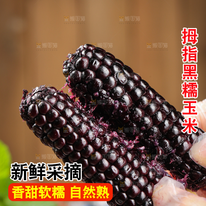 木底上的黑糯拇指玉米