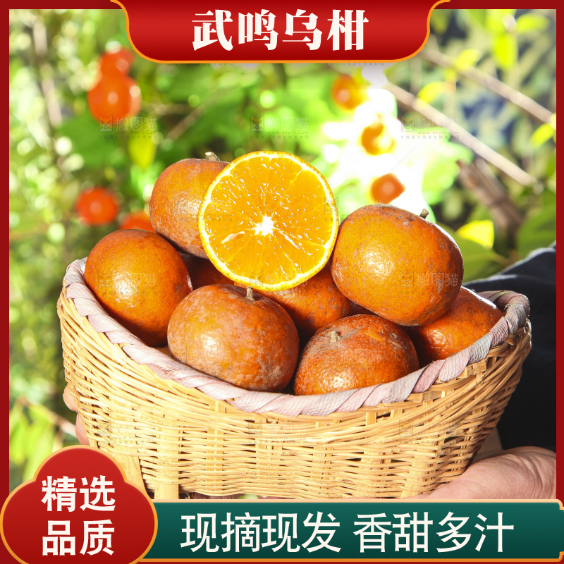 深底上的乌柑