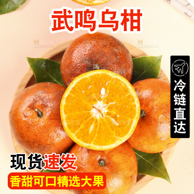 浅底上的乌柑