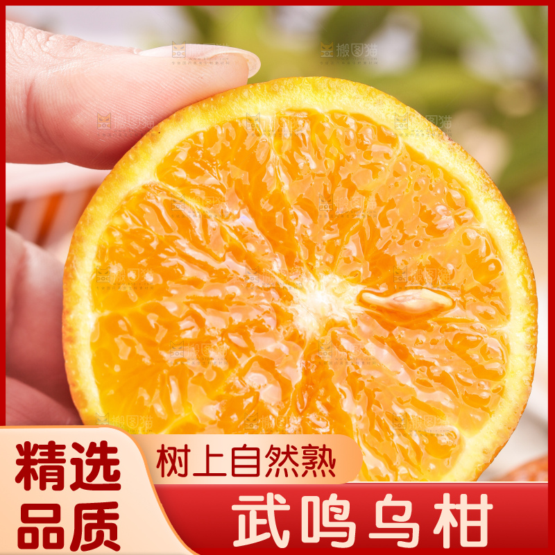 浅底上的乌柑