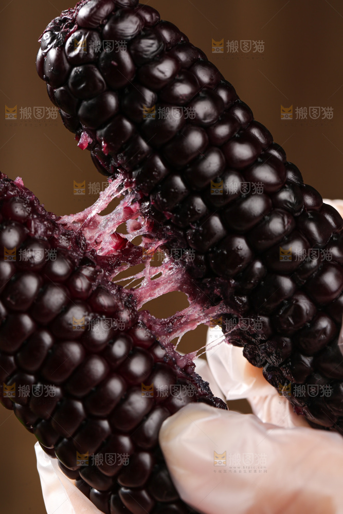 木底上的黑糯拇指玉米