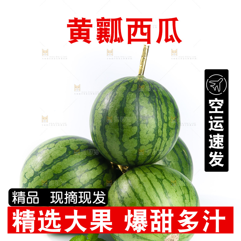 白底上的小西瓜