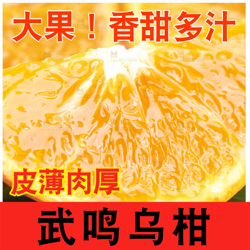 浅底上的乌柑