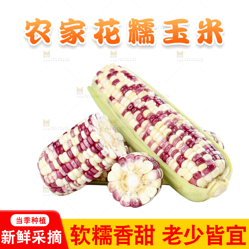 白底上的花糯玉米