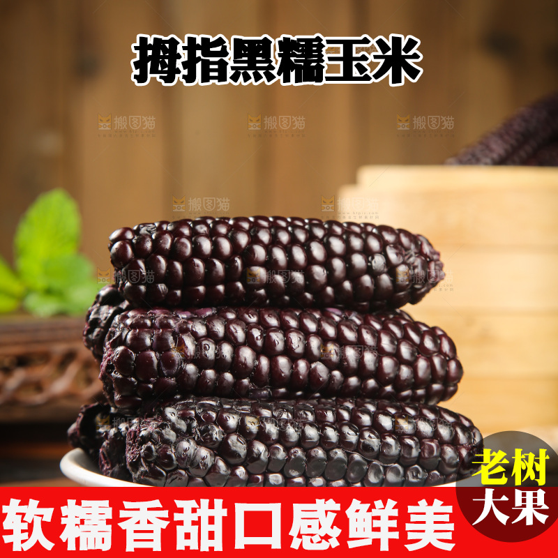木底上的黑糯拇指玉米