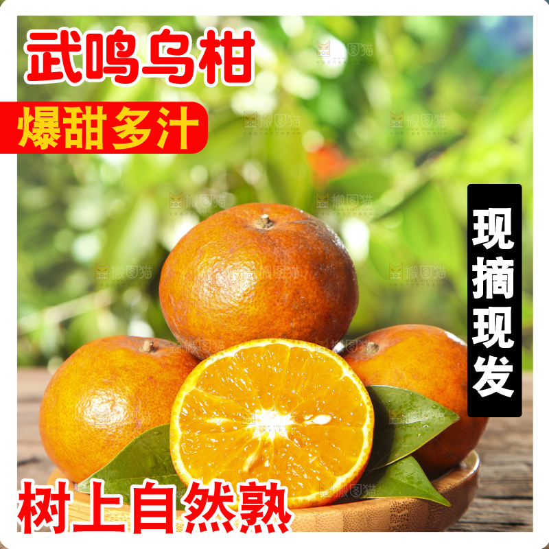 深底上的乌柑