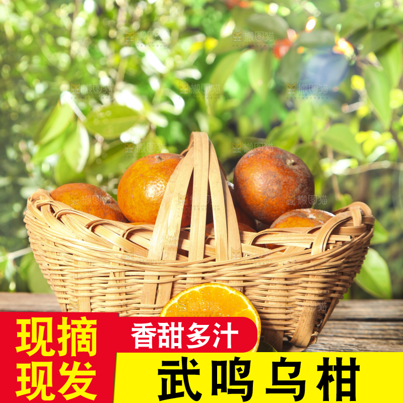 深底上的乌柑