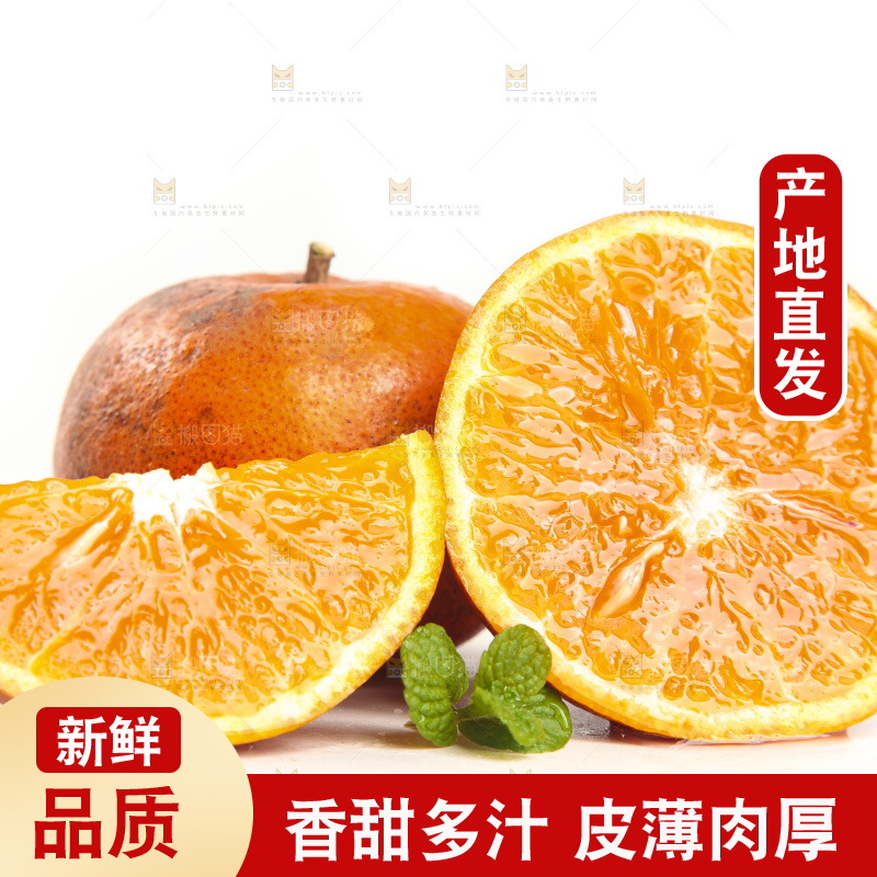 白底上的乌柑